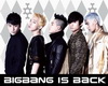 BIG BANG Whats is Right