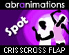 Criss Cross Flap Spot