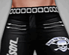 Harley Biker Flare pants