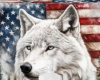 Wolf flag background