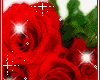 *{Red Roses}*