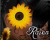 *R* Sunflower