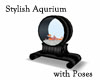 Stylish Aquarium + Poses