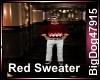 [BD] Red Sweater
