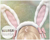 ⟢Bow Bunny Ears