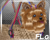 [FLo] Travel Pup