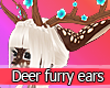 Deer furry ears