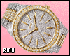 B. Two Tone Diamnd Watch