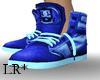 Blue DC Sneakers