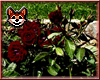 Rose Garden Poster