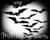 M/F Flying Bats