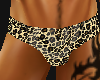 [SD] Briefs Leopard