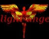 dj light ange