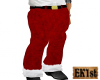 Santa Suit Pants