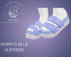 Kerry's Blue Slippers