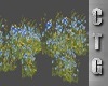 CTG   WILDFLOWERS V1