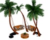 Palm Trees Swing