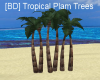 [BD] Tropical Plam Trees