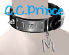my personal trial collar