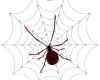 halloween spider&web