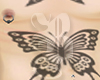 mariposa bebe