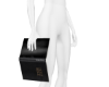 Holy Bible (R) F.