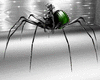 green spider avi F