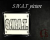 Swat Picture