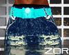[Z] New Blue Pant