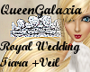  [QG]Royal Wedding Veil