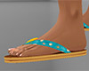 Sseashell Flip Flops (F)