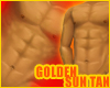 Golden Sun Tan
