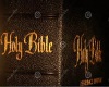 BIBLE & SOUND ANIMATED