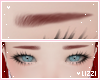 ♡ Eyebrows - Cherry