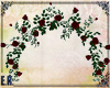 ɛʀ𓄿 Red Roses Arch