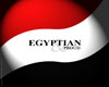 (RE)Egypt flag sticker