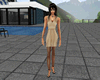 [CZ] Brown Dress