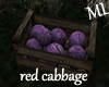 !ML! red cabbage
