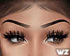 The Look Brows