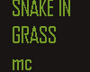 Snake in the Grass MC