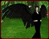 !    MALEFICENT  WINGS