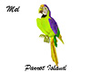 Island Parrot