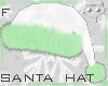 Hat WhiteGreen F1c Ⓚ