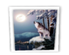 Moonlight Wolf