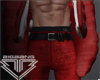 BB. Santa Pants V3
