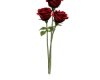 Roses single out