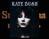 Kate Bush poster