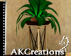 (AK)Simplicity plant2