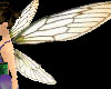 Gossamer Wings