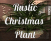 Rustic Christmas Plant